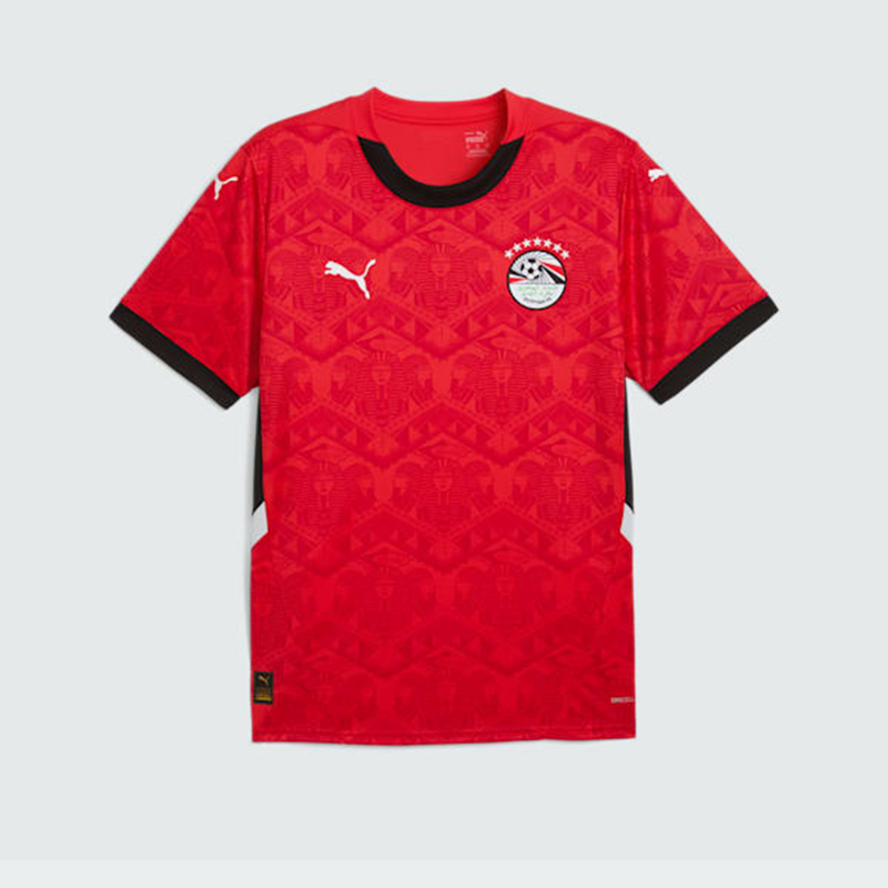 Egypt Home Jersey World Cup 2026 - Original Players Version